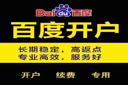 成功运用百度竞价代理，实现品牌快速崛起